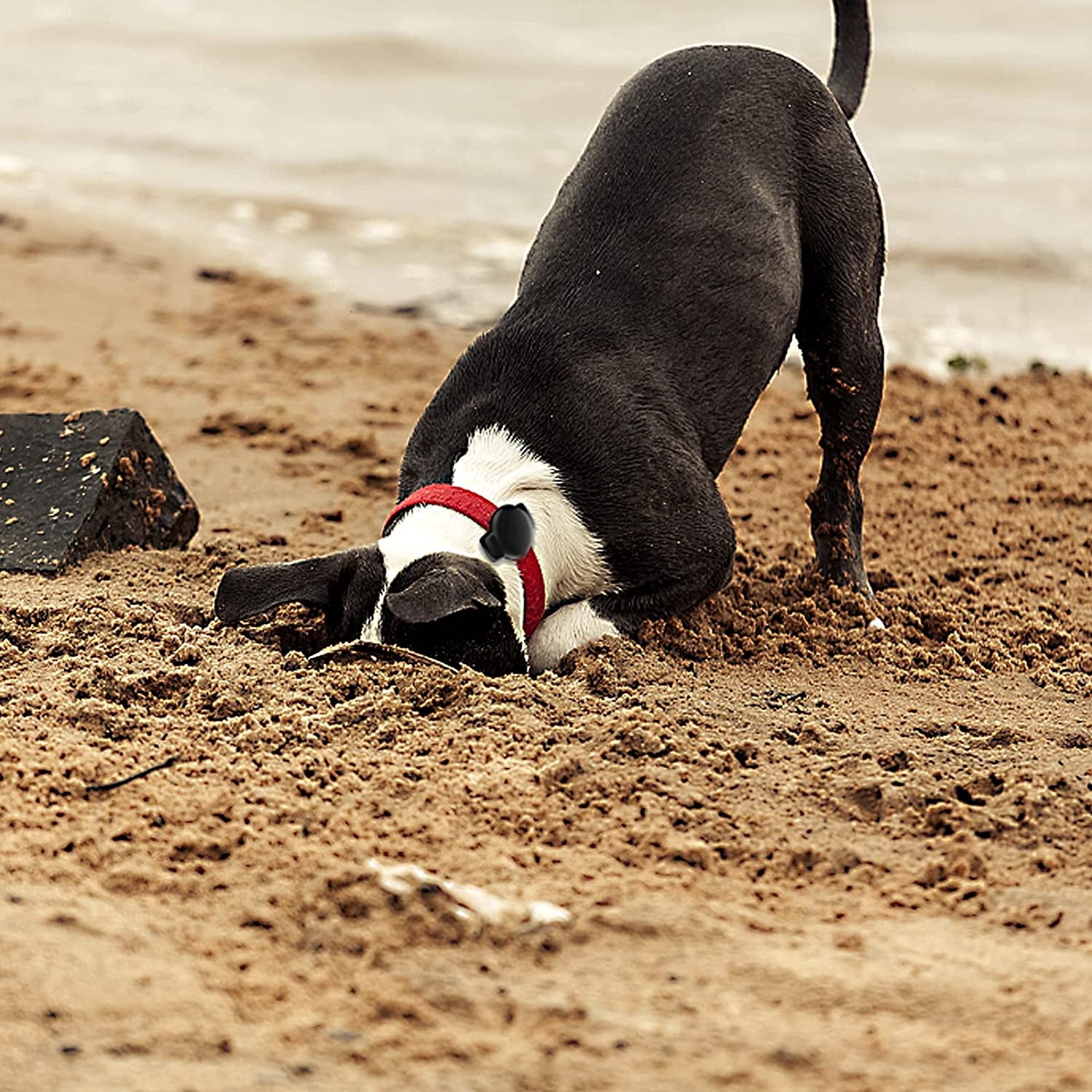 SUPMEGA Case for Airtag Dog Collar Holder, Flexible Silicone Cover with Adjustable Band Fits Pet Collars, Protective Anti-Scratch Case Compatible with Airtag 2021 - Black  SUPMEGA   