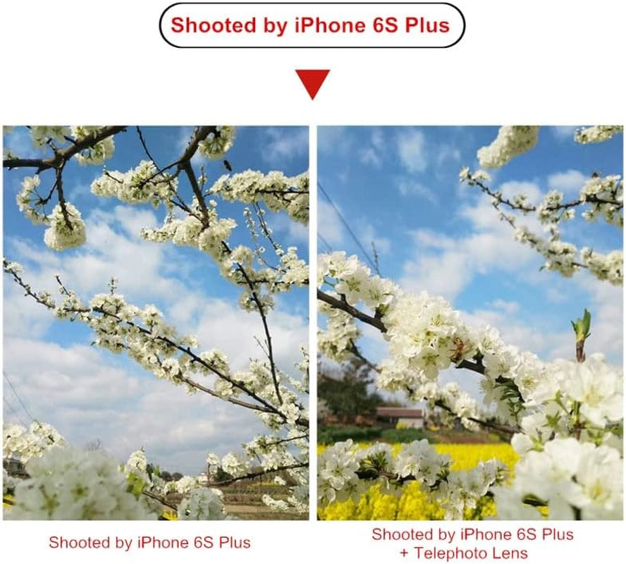 4K HD 2.5X Telephoto Lens Kit 65Mm No Distortion Phone Camera Lenses for Iphone Android Smartphones  Leshareselect   