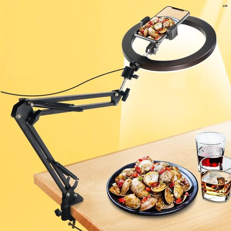 10'' Selfie Ring Light ' Tripod Stand and Phone Holder, LED Lighting with Phone Stand for Video Recording, Compatible with Cell Phones and Cameras (B)  Ruiidour   