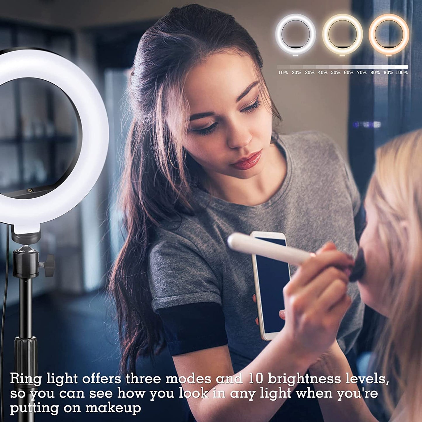 Selfie Ring Light with Stand and Phone Holder, 10'' Dimmable Desktop LED Circle Light for Laptop,Computer, Lighting Kit Gifts for Live Streaming/Laptop Video Conference/Chat/Makeup/Youtube/Tiktok/Vlog  RIEOMN   