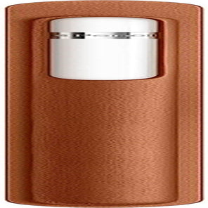 Apple Pencil Case - Saddle Brown  Apple   