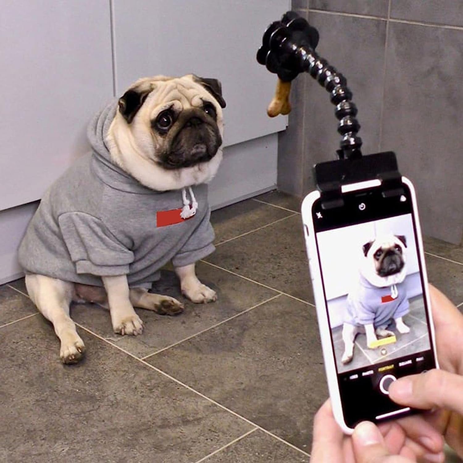 Pet Selfie for Dog, Portable Dog Selfie Rods Creative Cell Phones Selfie Stick Pet Selfie Artifact for Cat Cellphone Treat Holder Pet Photography Tool Cell Phone Clips Pet Supplies for Dog Lovers  Koonghong   