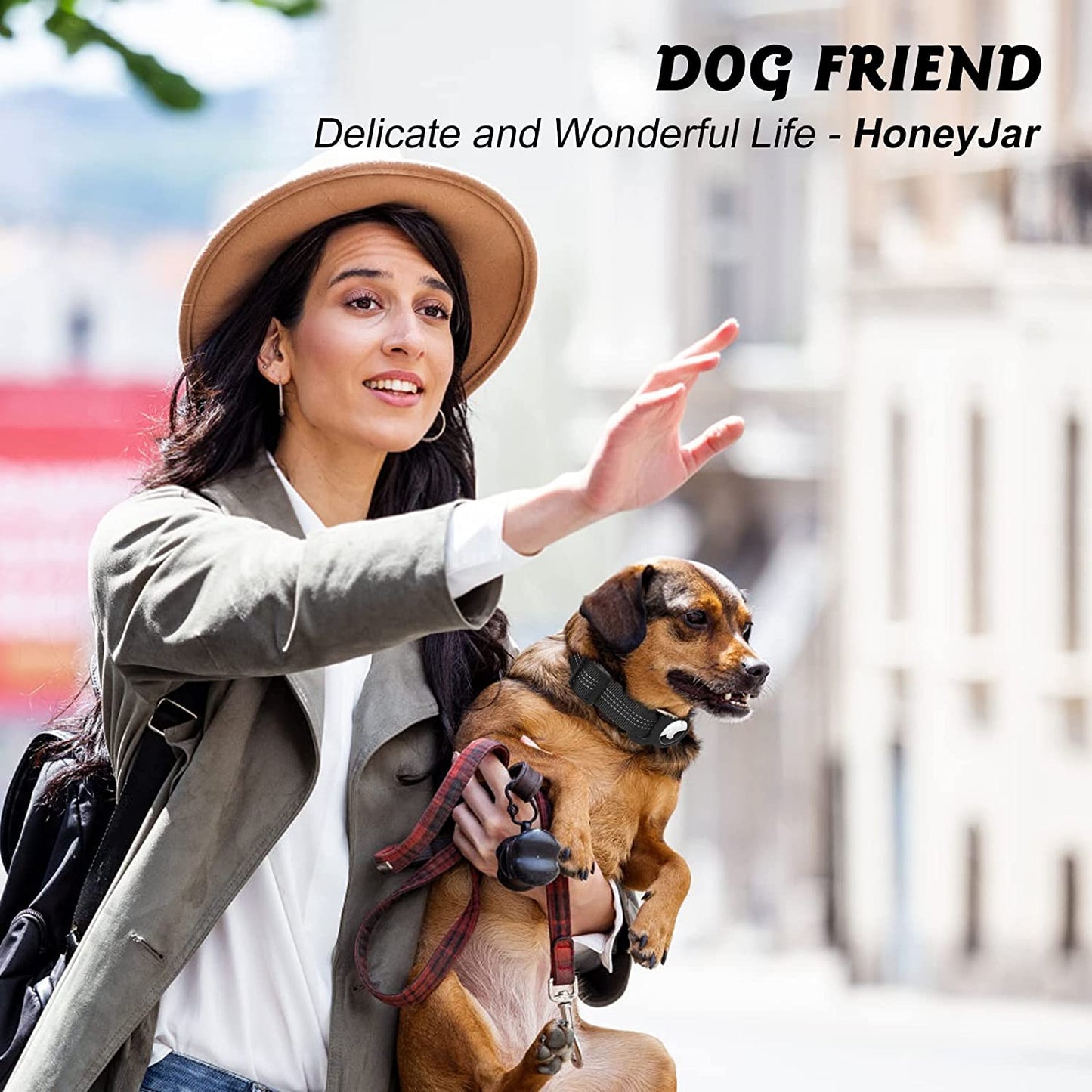 Airtag Dog Collar, Light Duty Air Tag Dog Collar, Reflective Apple Air Tag Dog Collar with Airtag Holder, Sturdy and Durable, Pet Collar for Small Medium Large Dogs. (M, Black)  HoneyJar   