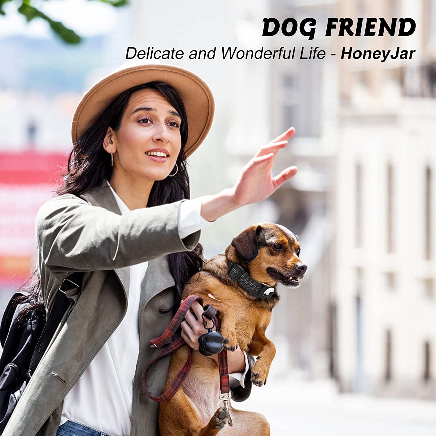 Airtag Dog Collar, Light Duty Air Tag Dog Collar, Reflective Apple Air Tag Dog Collar with Airtag Holder, Sturdy and Durable, Pet Collar for Small Medium Large Dogs. (M, Black)  HoneyJar   