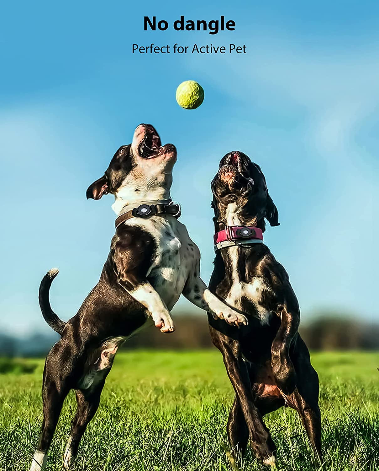 Airtag Holder Fit All Dog Collars Harness , Stouchi Innovative Style Protective Airtag Case with Pins Fixing Buckle for Iphone, Airtag Pet, Dog and Cat Airtag Mount  COSCOD   