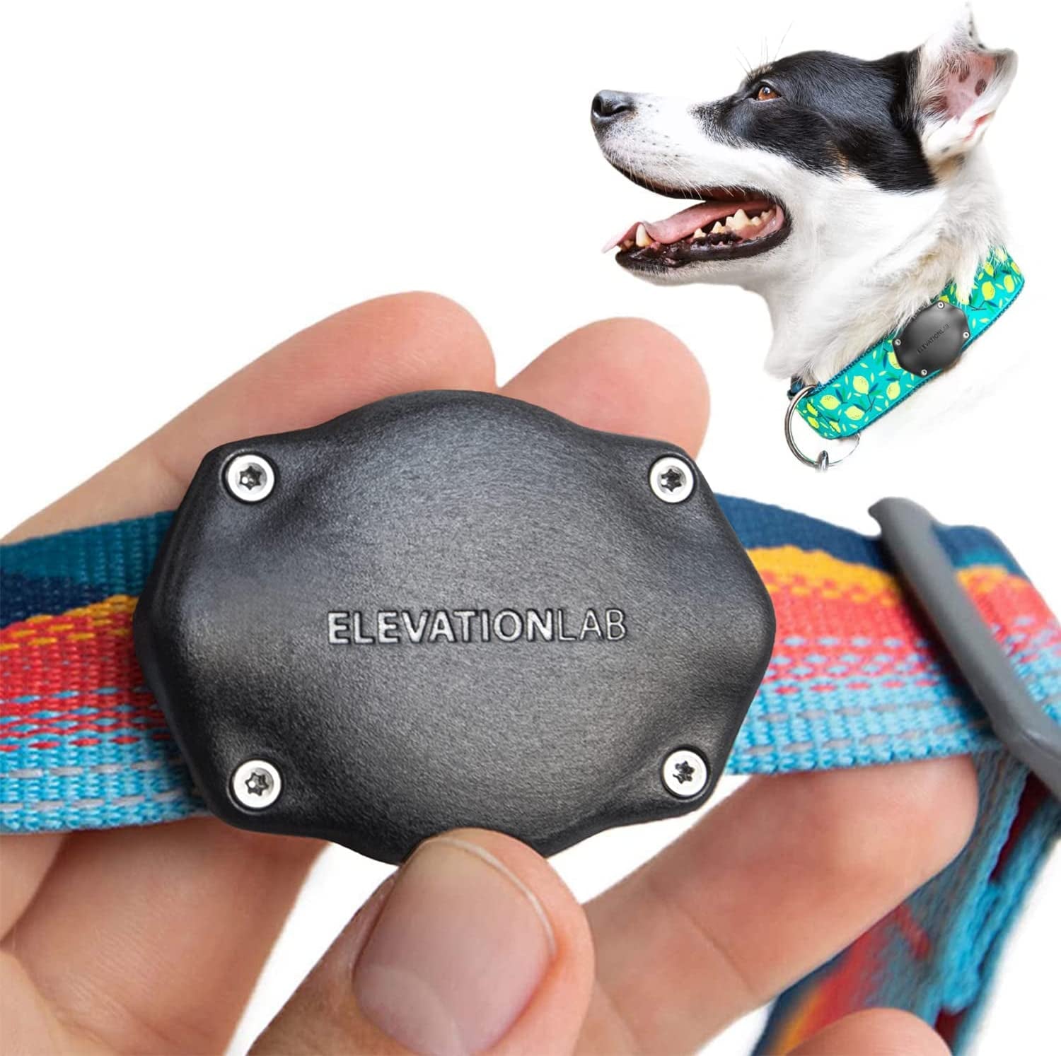 Tagvault Pet (2 Pack) - the Original Airtag Dog Collar Waterproof Mount, Ultra-Durable, Fits All Width Collars | Elevation Lab  Elevation Lab Single  