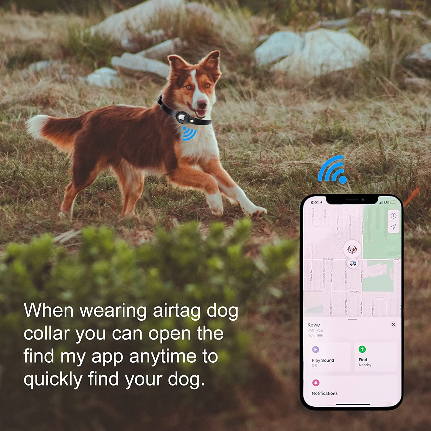 JIPIMON Leather Airtag Dog Collar, Prevents Loss Adjustable Comfortable Genuine Leather Apple Airtag Dog Collar (Small, Black)  JIPIMON   