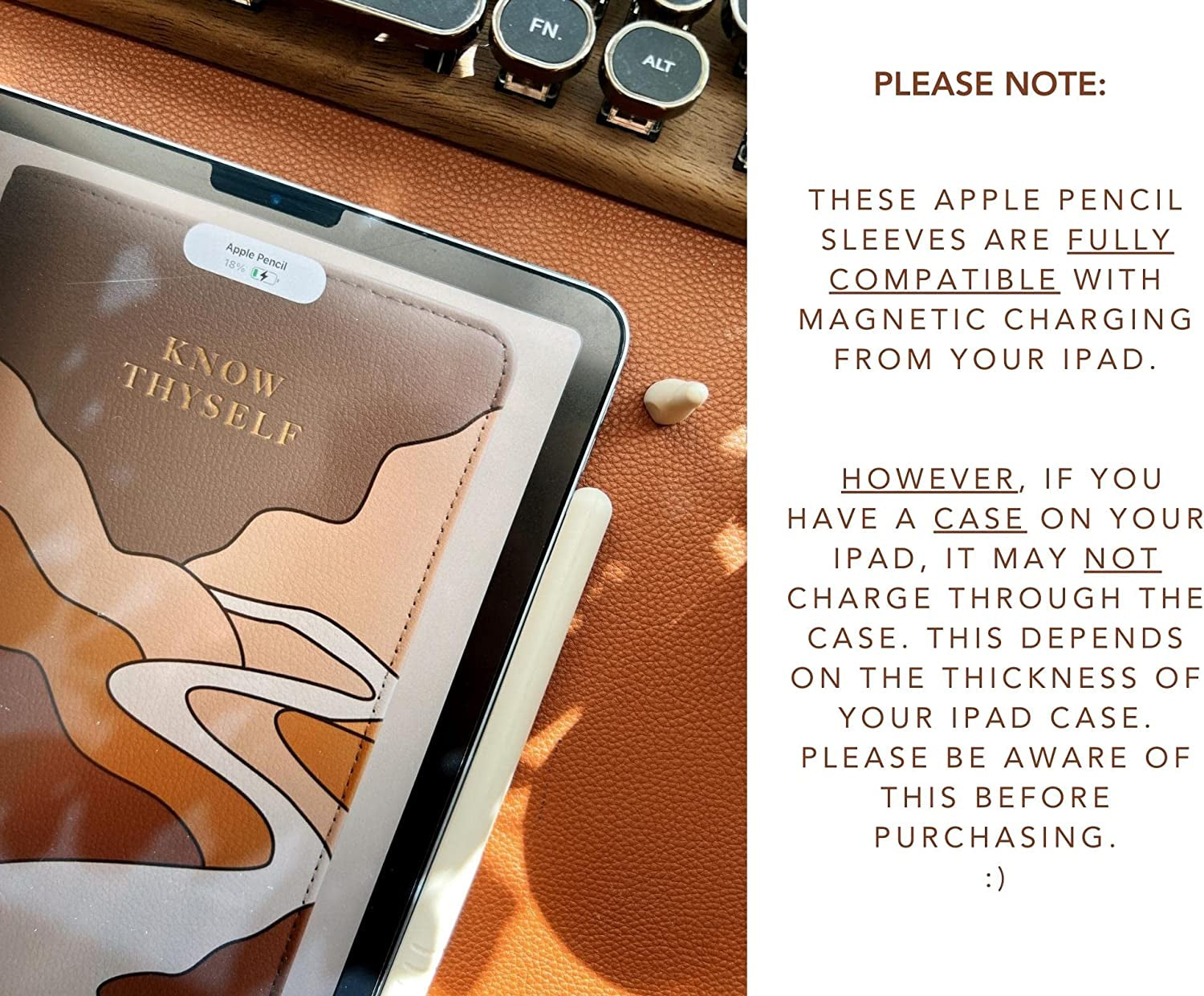 Blue Dune Studio Apple Pencil 2Nd Generation Protective Sleeve Cover Grip, Apple Pencil Case, Compatible with Magnetic Charging and Double Tap, Boho Neutral Colors (Brown/Beige 2-Pack)  Blue Dune Studio   