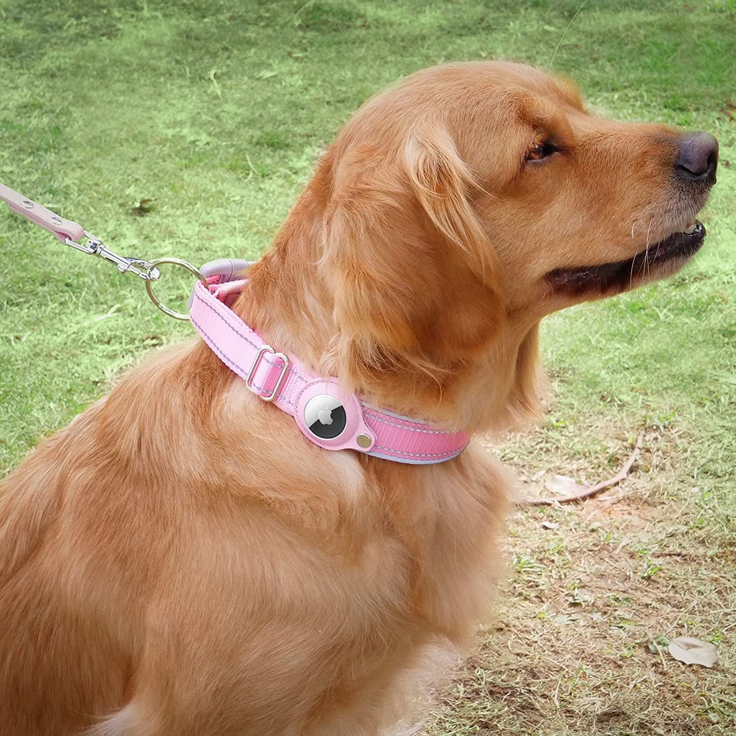 Reflective Airtag Dog Collar, Heavy Duty Apple Air Tag Dog Collar, Padded Pet Collar with 2022 Updated Airtag Dog Collar Holder Case, Adjustable for Small Medium Large Breeds  Taporse   