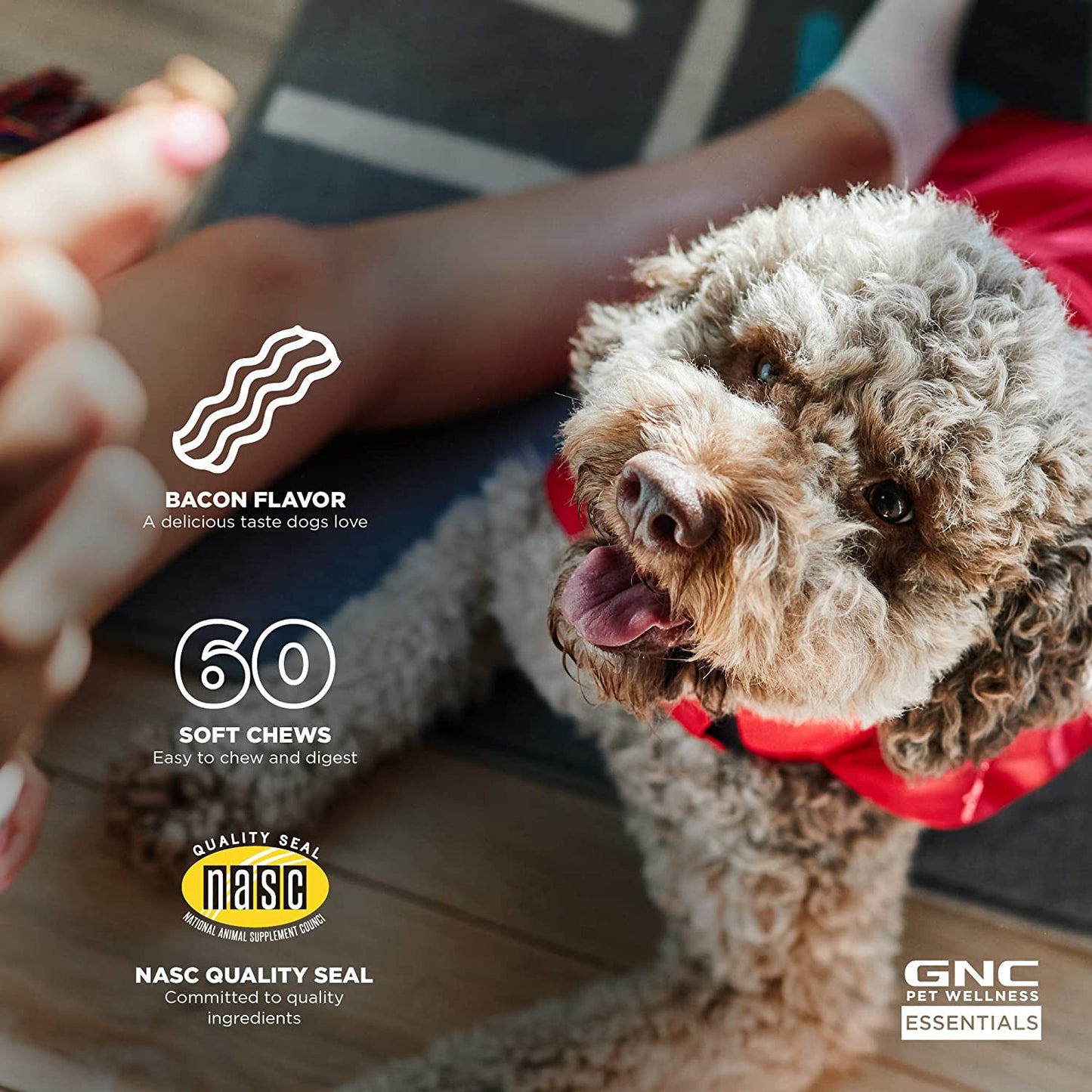 GNC for Pets Essentials Calming Soft Chew Dog Supplements | 60 Ct Chicken Flavor Dog Soft Chew Supplements for Calming and Relaxation | Adult Dog Calming Chews for Anxiety, White  Fetch for Pets   