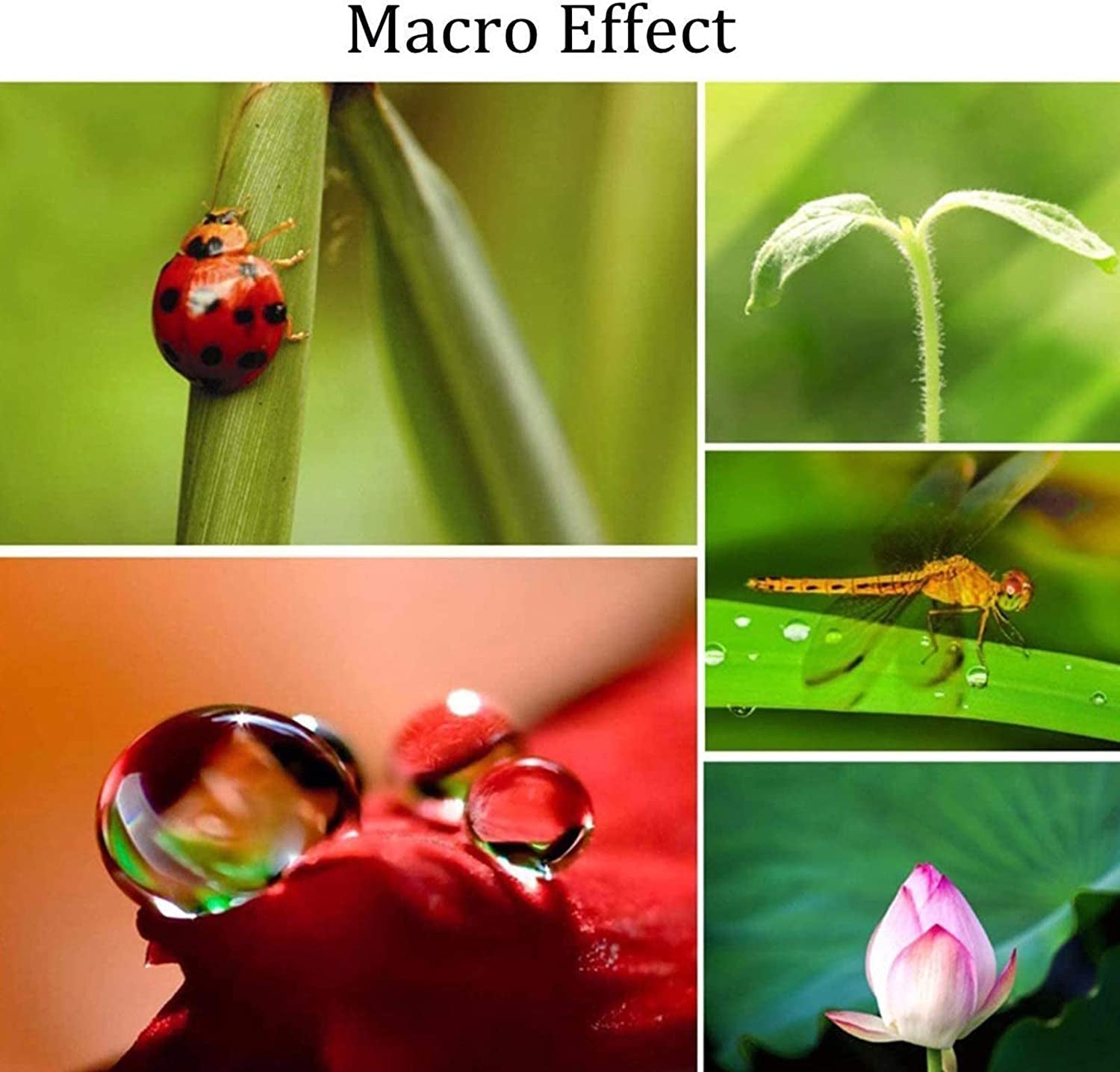 3 in 1 Cell Phone Camera Lens Kit Wide Angle Macro Fisheye Lens Universal for Smart Phones Iphone Samsung Android  ANJIELO SMART   