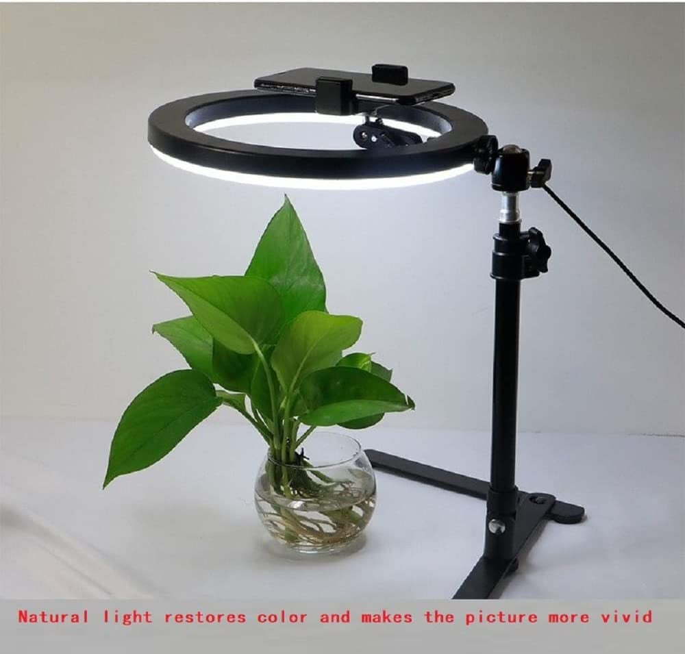 10'' Selfie Ring Light ' Tripod Stand and Phone Holder, LED Lighting with Phone Stand for Video Recording, Compatible with RD06 0  Ruiidour   
