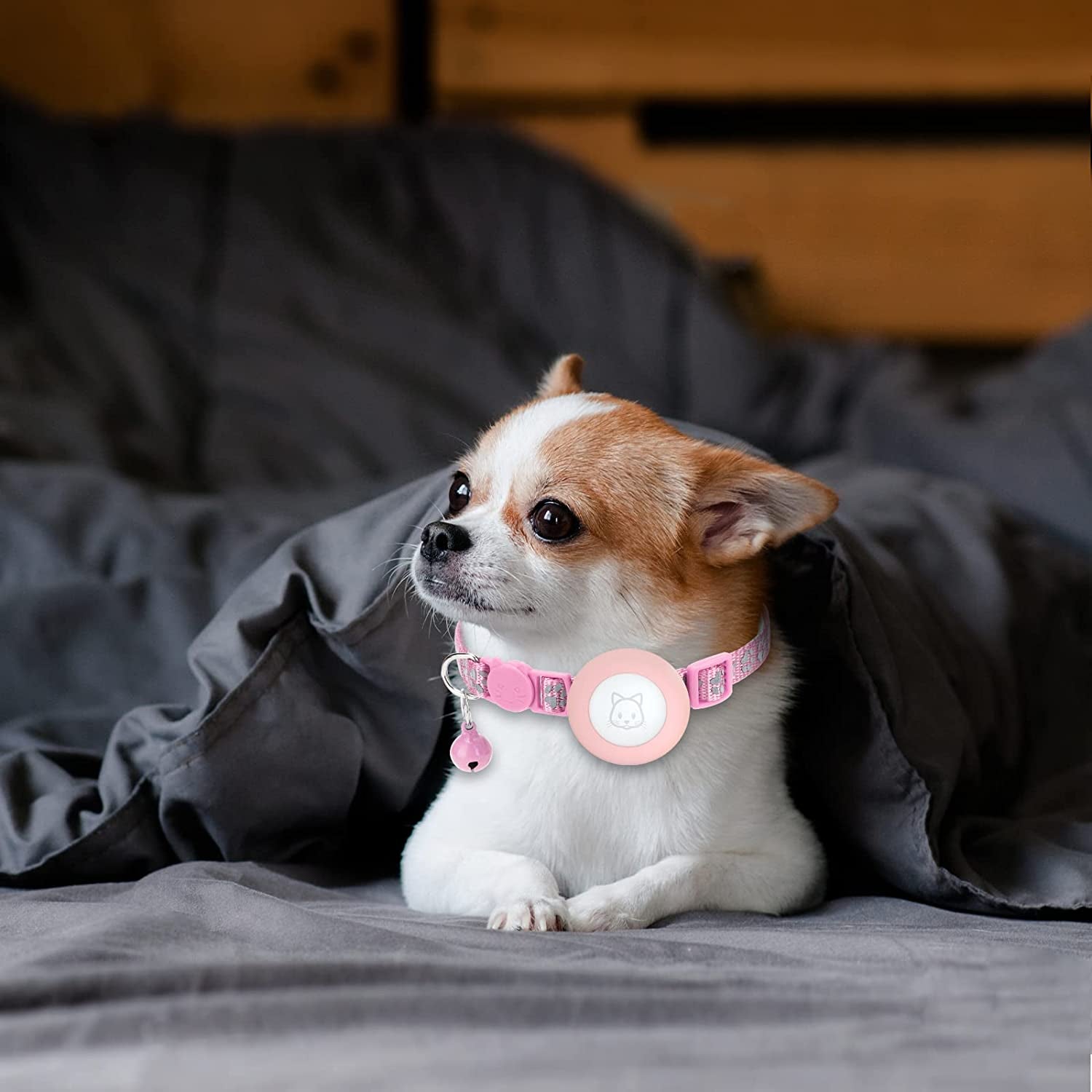 Airtag Cat Collar with Breakaway Bell, Reflective Paw Pattern Strap with Air Tag Case for Cat Kitten and Extra Small Dog (Pink Reflective Paw)  Kuaguozhe US   