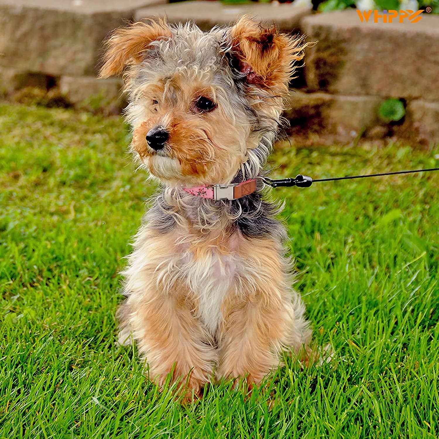WHIPPY Girl Floral Dog Collar Cute Pink Flower Print Puppy Collar Adjustable Heavy Duty Nylon Collar with Metal Buckle Soft Comfortable Collar for Small Medium Large Dog Pet,M,Flower Pink  WHIPPY   