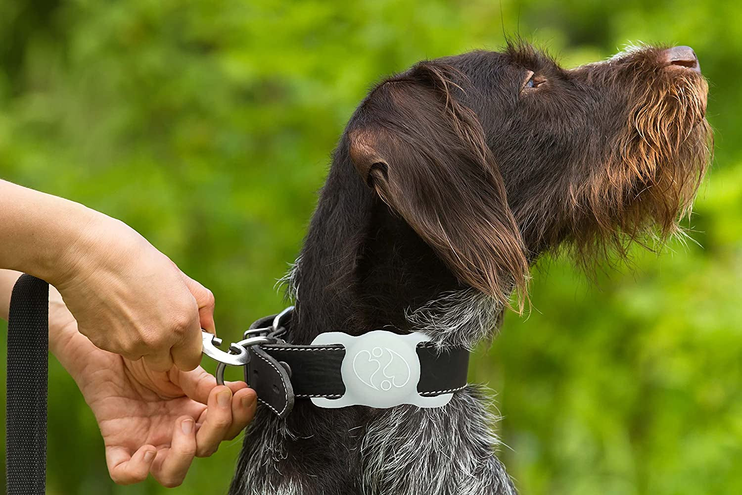 Abiwares Apple Airtag Case for Pets 2Pk Glow in the Dark Apple Airtag Case - Airtag Case for Collars, Backpacks, Luggage Anything with a Strap - GPS Tracker Case - Dogs Cats Pets Tracker Holder  AbiWares   