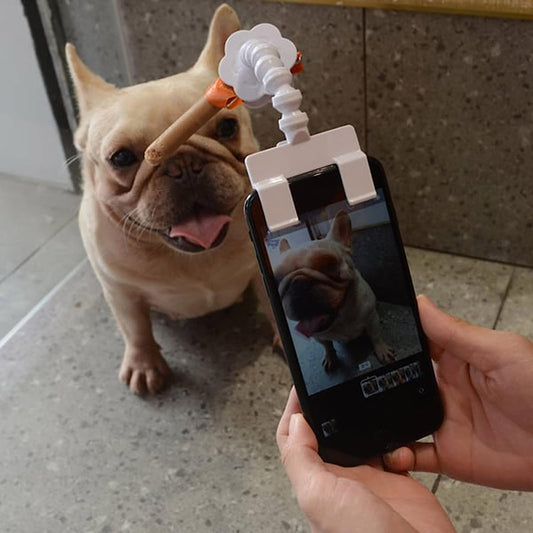 Pet Selfie for Dog, Portable Dog Selfie Rods Creative Cell Phones Selfie Stick Pet Selfie Artifact for Cat Cellphone Treat Holder Pet Photography Tool Cell Phone Clips Pet Supplies for Dog Lovers  Koonghong   
