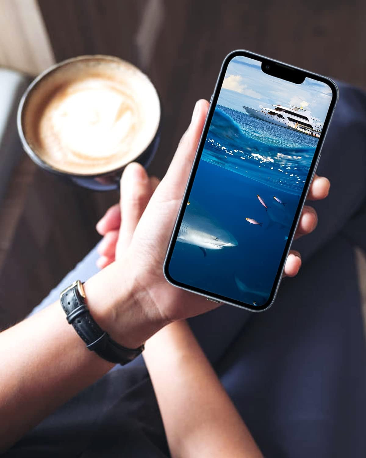 8 Pack anti Dust Plugs for Iphone 14 Pro Max Mini 13 12 11 X Xs 8 plus Ipad Airpods + Mini Storage Box Iphone Charging Port Plugs, Black  AUZOSL   