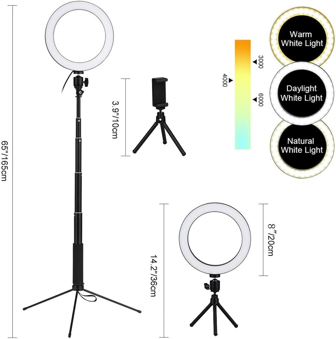 LEDGLE Upgraded Selfie Ring Light with Tripod Stand & Cell Phone Holder & Selfie Stick 8" Dimmable Ring Light with 3 Light Mode and 10 Level Brightness for Live Stream Makeup and Youtube Video  LEDGLE   