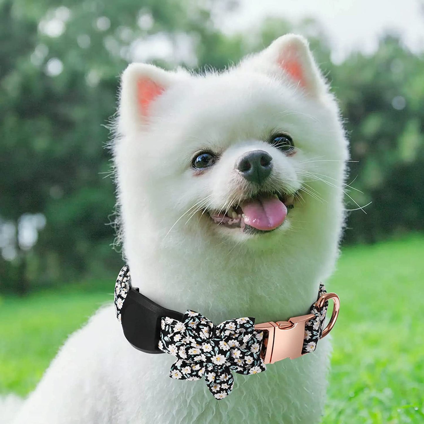 Airtag Dog Collar Holder，Anti-Lost Silicone Case Accessories for Air Tag GPS Tracking，Compatible with Dogs Cats Pets Collar (1 Pack, Black)  Gokotta   