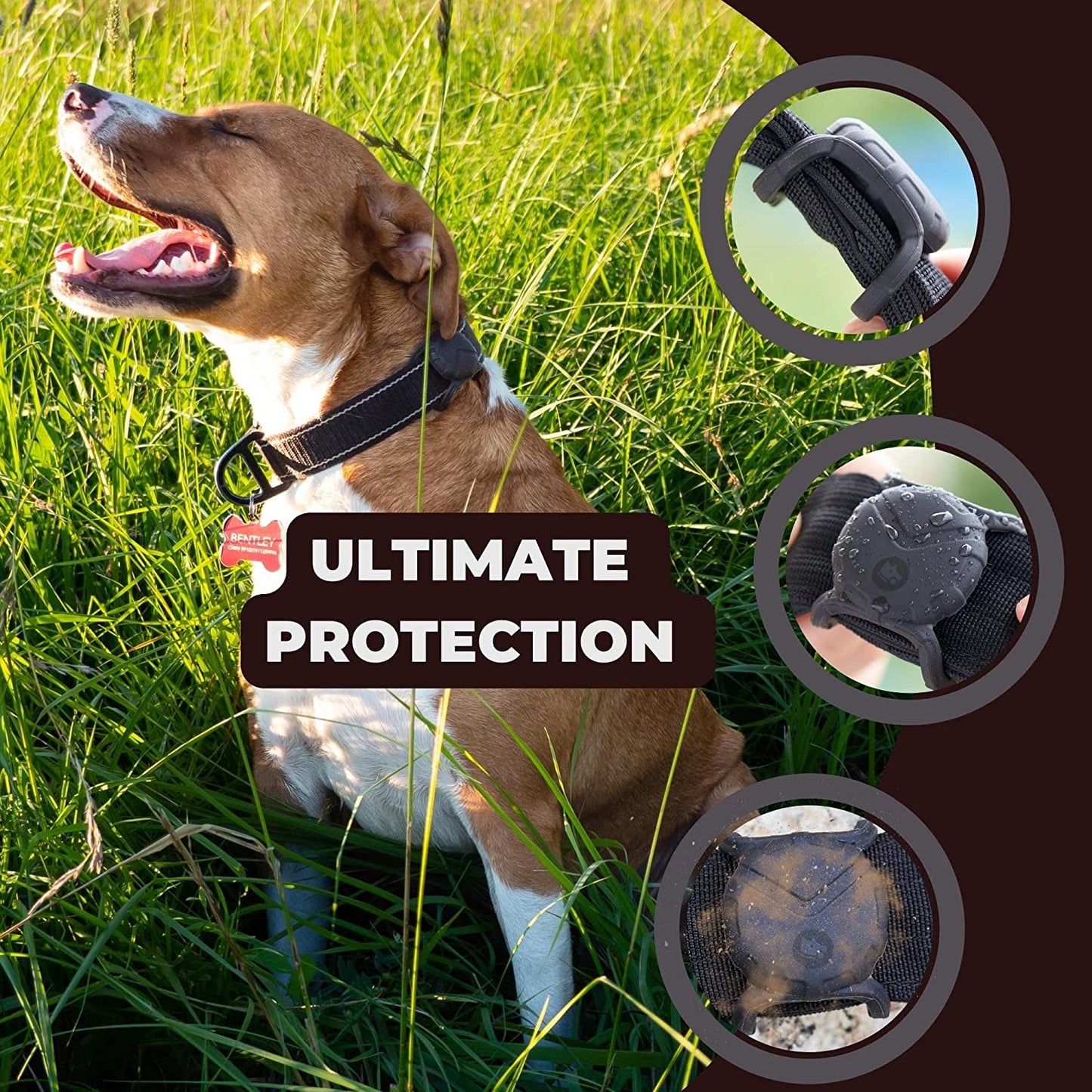 FOSSA Airtag Dog Collar Holder, Large Dog Airtag Holder, Waterproof Dog Collar Airtag Holder, Cat Air Tag Tracker Case  Fossa   