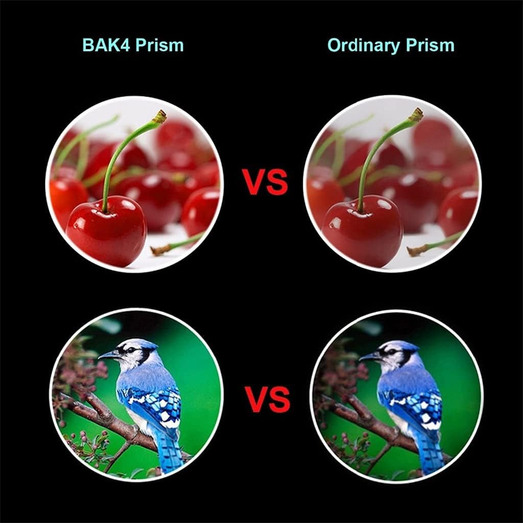 YASEZ Universal 8X Zoom Optical Phone Telescope Portable Mobile Phone Telephoto Camera Lens for Smartphone  wangyuanjing   