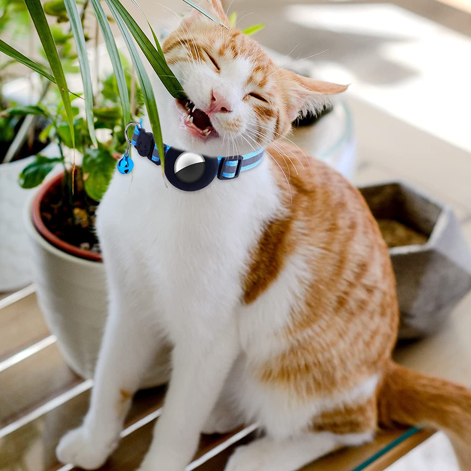 TOYMIS 2 Pcs Pet Collar Holders Compatible with Airtag, Silicone Cat Collar Holder Dog Collar Holder 3/8" Collar Tag Holders for Pets Dog Cat Children Elderly Bags (Black, Blue)  TOYMIS   