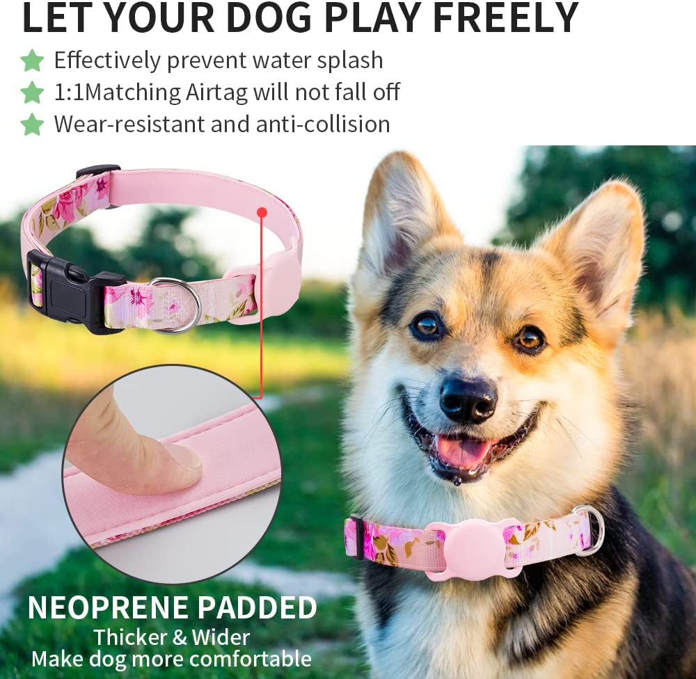 Airtag Cat Collar, Animire Soft Neoprene Padded Air Tag Collar for Extra Small Dogs, Polyester Puppy Pet Collar with Silicone Airtag Case Holder Accessories, 8"-12" Neck  Animire   
